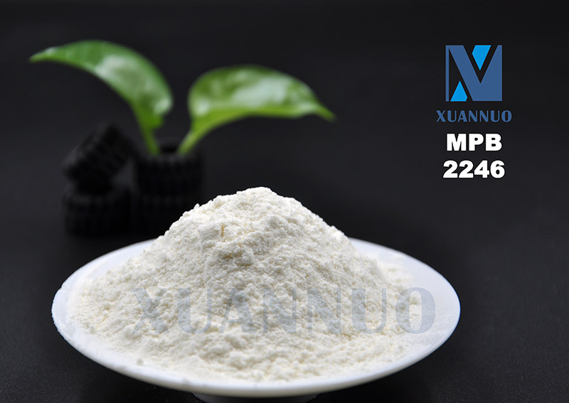 2,2’-Methylene bis,4-methyl-6-tert-butylphenol,2246,MPB,CAS 119-47-1